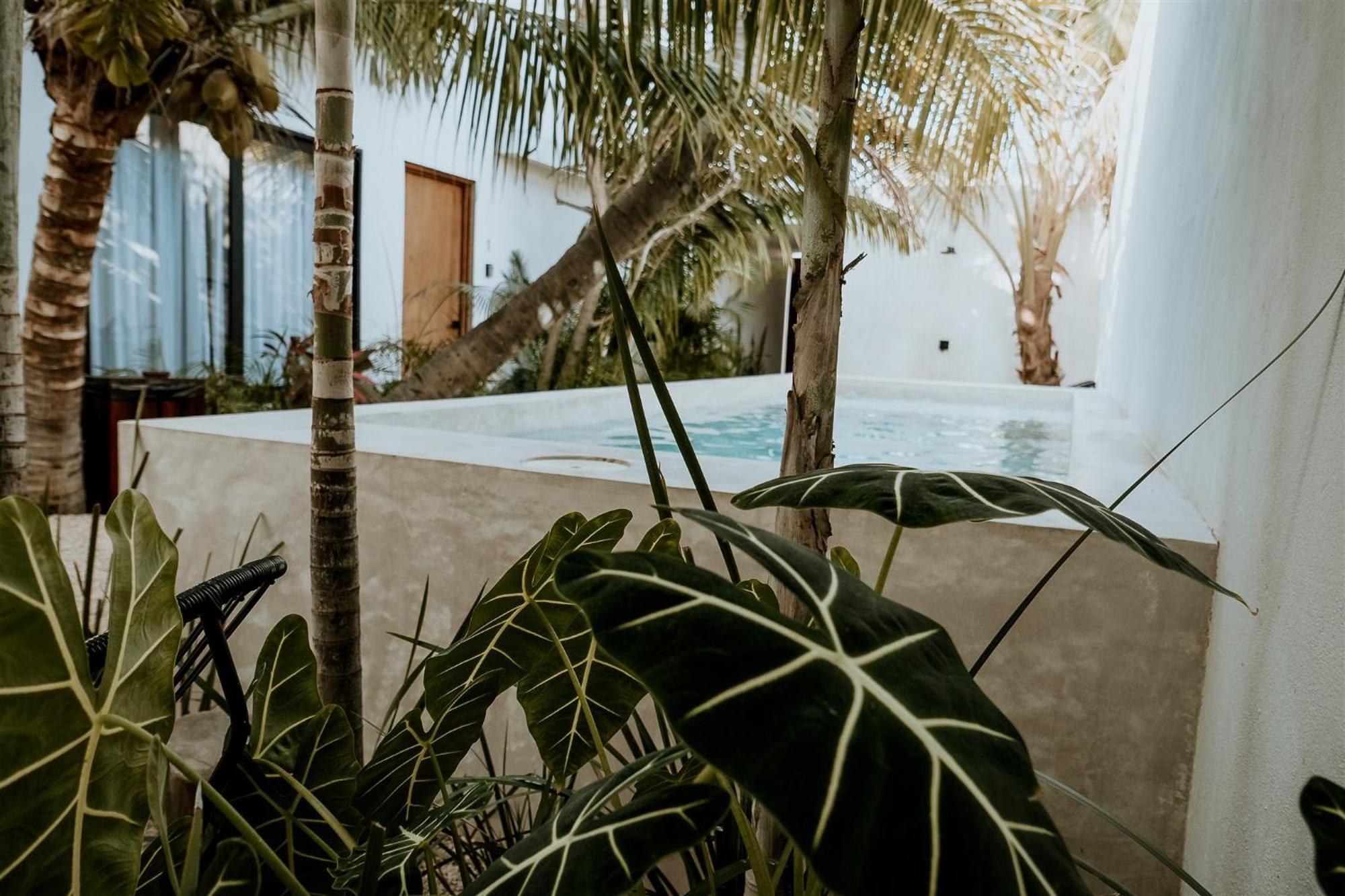 Apartments & Suites Madre Holbox Self-Check In Exterior foto