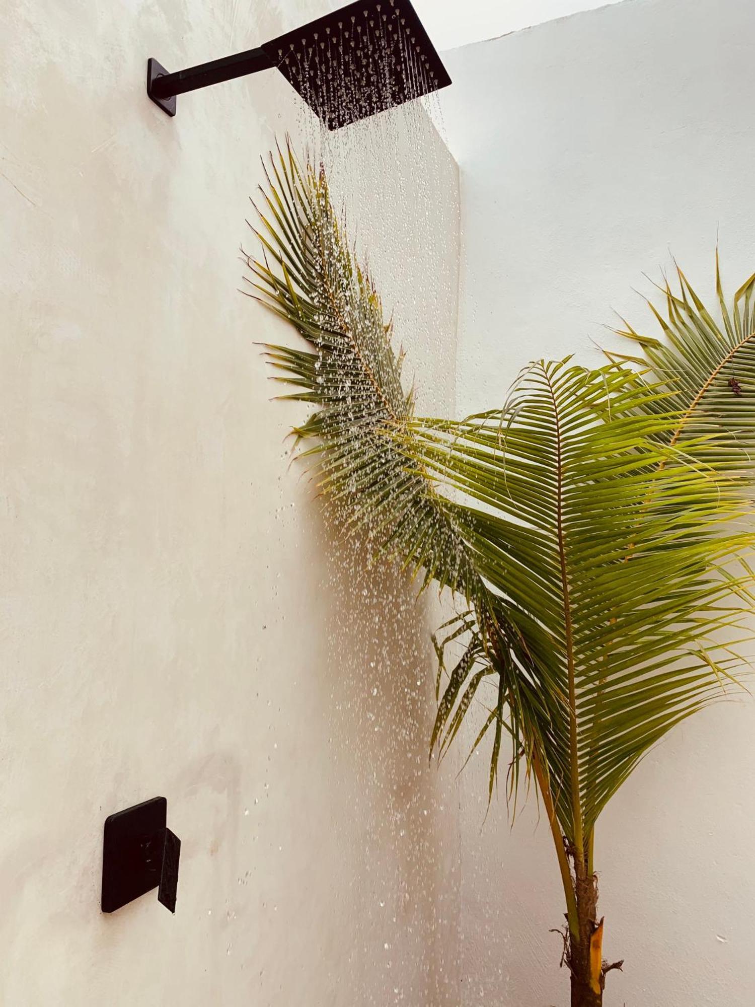Apartments & Suites Madre Holbox Self-Check In Exterior foto
