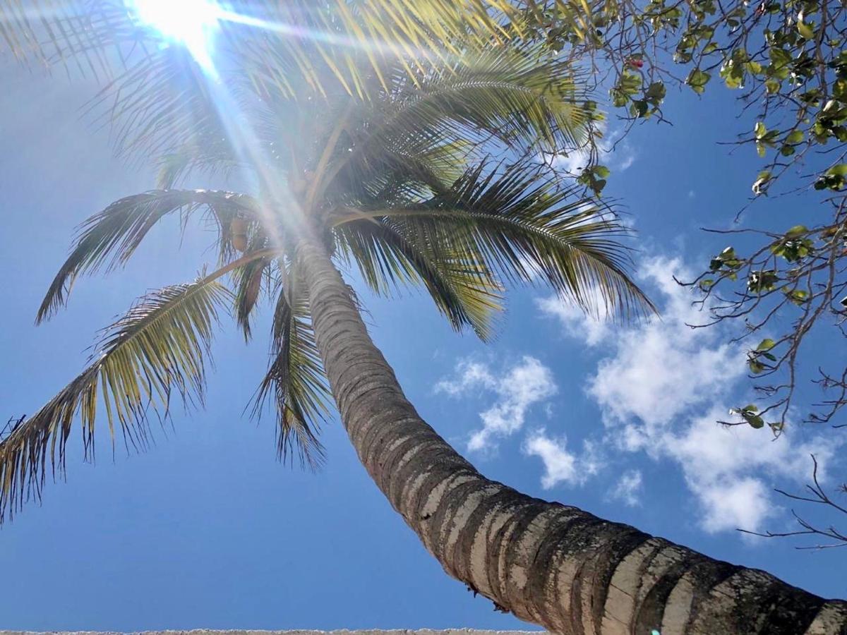 Apartments & Suites Madre Holbox Self-Check In Exterior foto